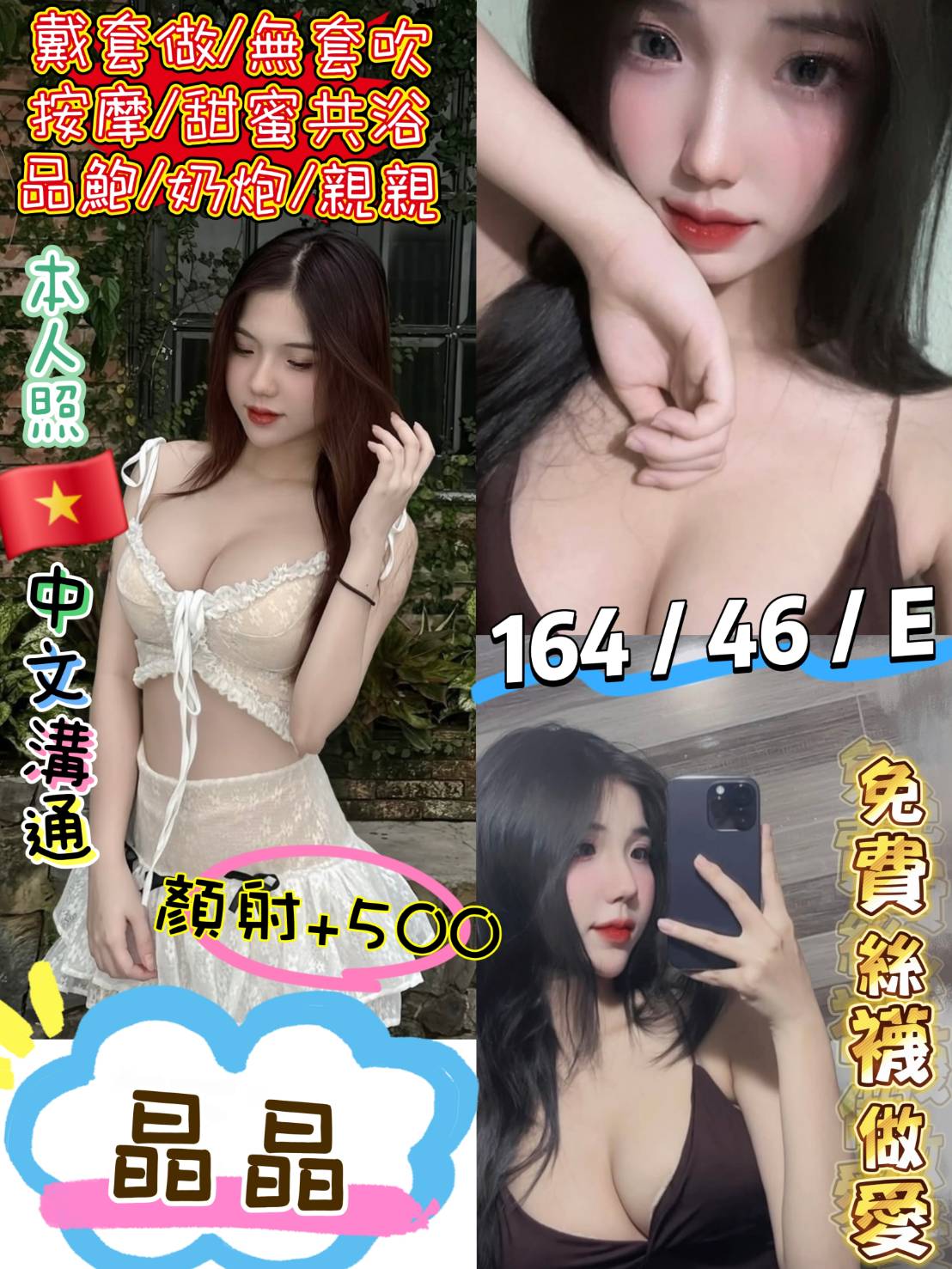 新竹 青魚 豬豬 169/23/36D